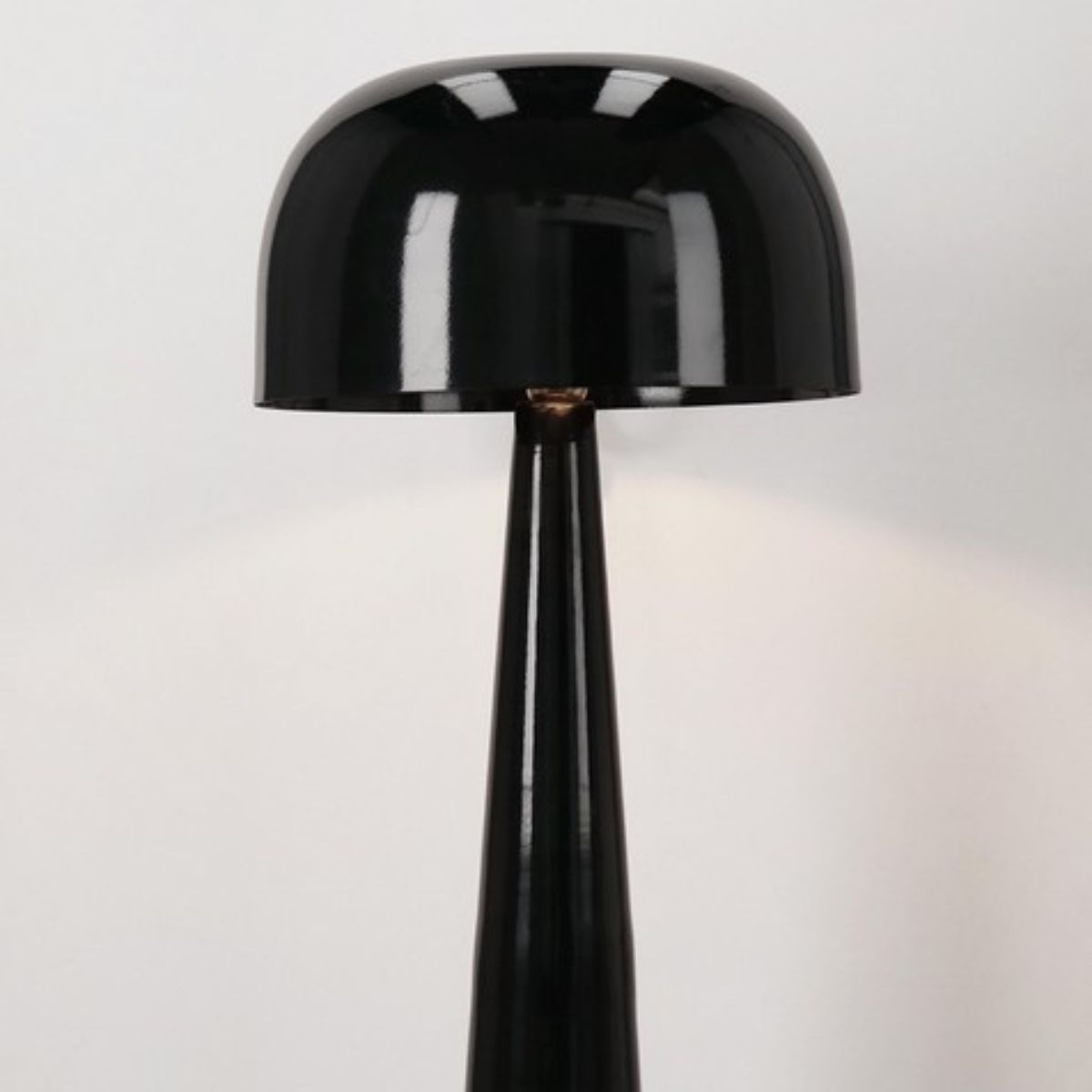 BT KIKI Black elegant Indoor floor lamp